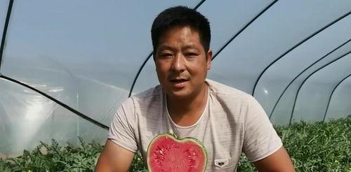 吃瓜杨一帆,揭秘娱乐圈背后的真实故事