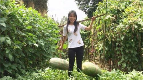 怎么看到吃瓜视频,揭秘吃瓜视频背后的娱乐现象