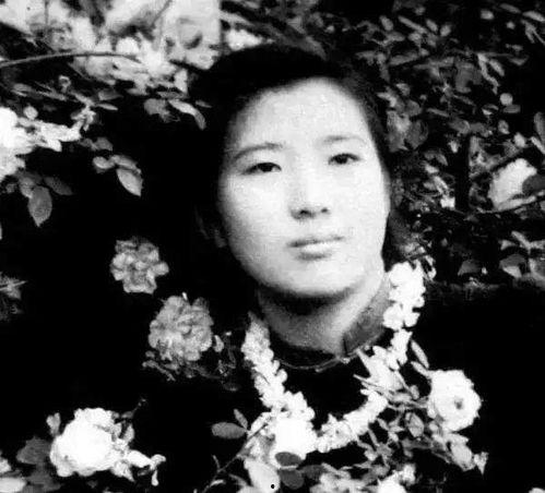 何秋事吃瓜解析,揭秘娱乐圈背后的真相与争议