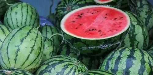 绿洲地图吃瓜,一场视觉与味蕾的双重盛宴