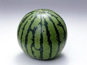 常年吃瓜会胖吗,体重管理需注意!