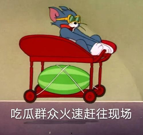 抱剑吃瓜,探寻抱剑吃瓜的趣味人生