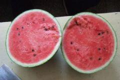 吃瓜的优优,揭秘娱乐圈幕后故事