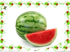 小6吃瓜版,揭秘娱乐圈幕后真相，带你领略明星们的真实生活