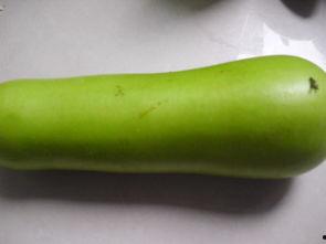 吃葫芦瓜遗精,探寻吃瓜遗精之谜