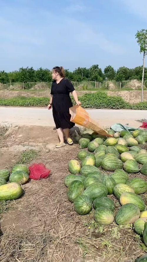 重生农村下乡吃瓜,下乡吃瓜，体验田园生活新篇章