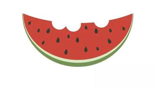 吃瓜咋画,揭秘“吃瓜咋画”背后的趣味与智慧