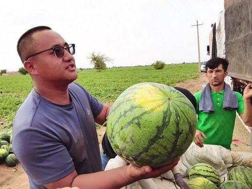 相似的吃瓜照片,跟随吃瓜照片探寻美食风尚