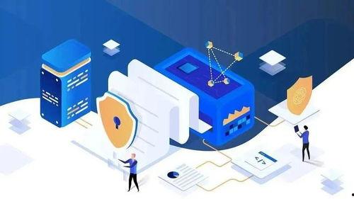 理性吃瓜文明上网,构建和谐网络环境新篇章