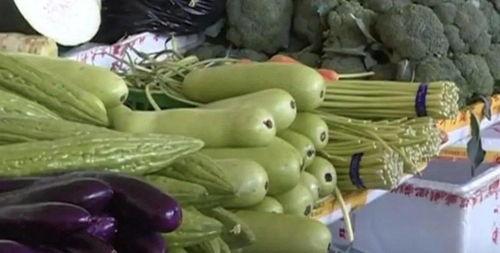 瓜哥带吃瓜奇葩东西,揭秘那些令人惊叹的吃瓜奇葩之物