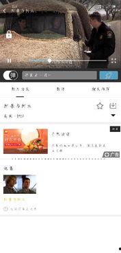 吃瓜百度云,网络热议背后的真相与影响