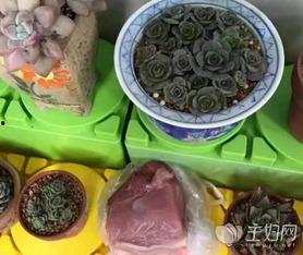 苏州教师吃瓜,一场“吃瓜”背后的校园饮食安全探讨