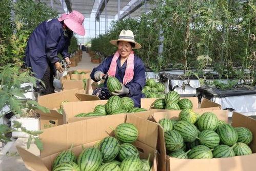 戴吃瓜网,揭秘娱乐圈幕后故事，带你走进明星真实生活