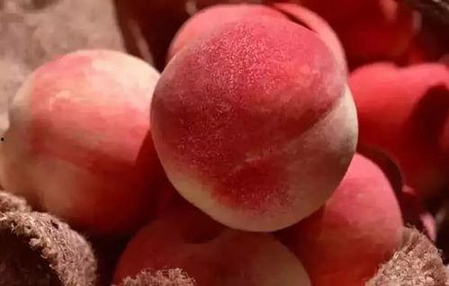 露在吃瓜 永爱小桃子,一场甜蜜的瓜果情缘