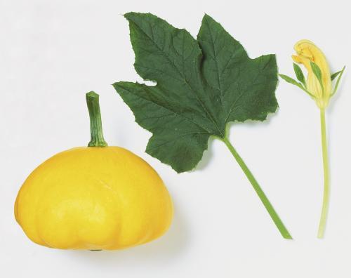 树叶众多主播吃瓜,揭秘娱乐圈幕后风云