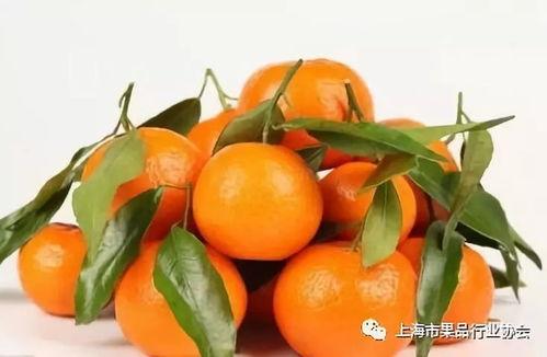 橘子吃瓜 梗,一场味蕾的盛宴