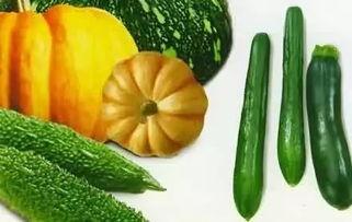 吃瓜不分种类,吃瓜界的全品类盛宴