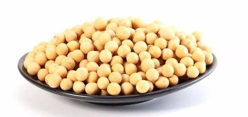 吃瓜吃豆什么意思,网络流行语的趣味解读