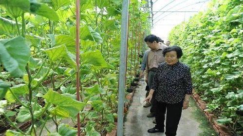 真香吃瓜日记下载,揭秘热门事件背后的真实内幕