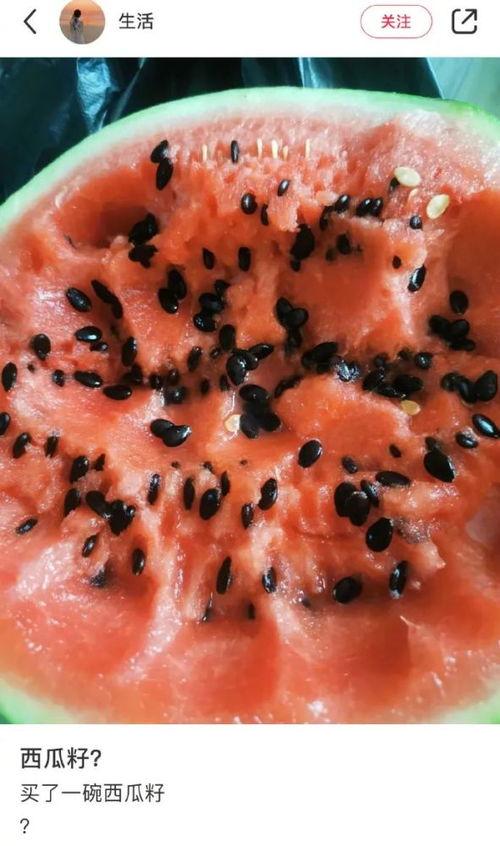 吃瓜吃出图案,揭秘瓜果中的奇妙图案