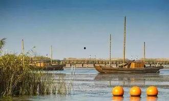 湖高旅吃瓜,揭秘校园美食圈的热辣故事