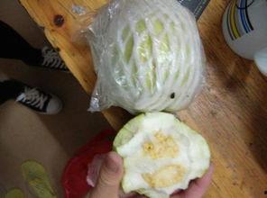 酷瓜吃要削皮吗,削皮还是直接啃？揭秘最佳食用方法